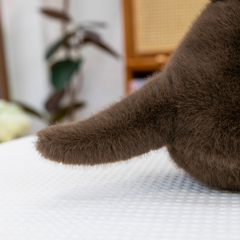 Simulation otter